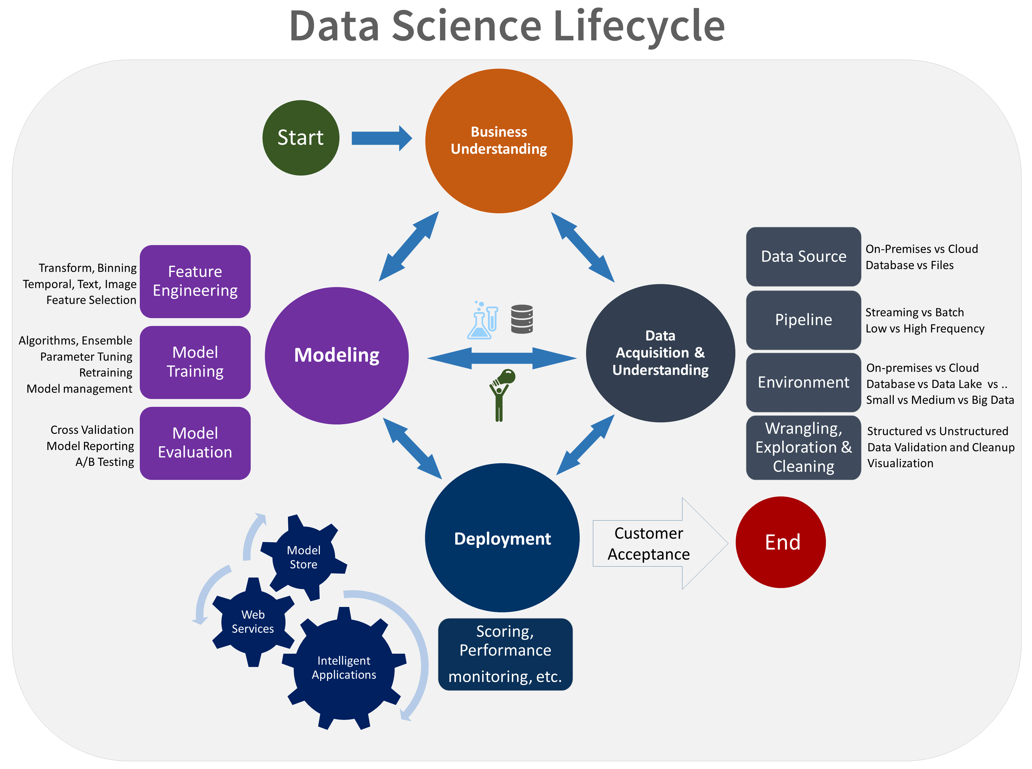 lifecycle